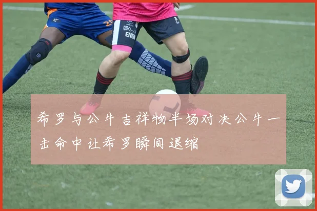 希罗与公牛吉祥物半场对决公牛一击命中让希罗瞬间退缩